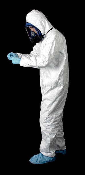 Trusted Mount Pleasant, SC Mold Removal Experts